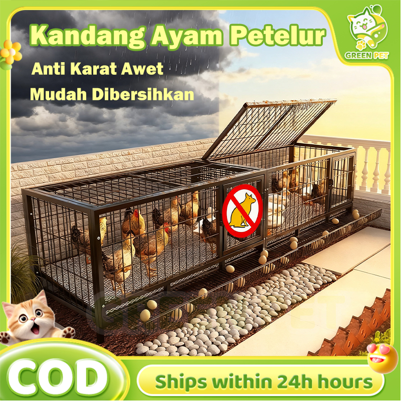 Kandang Ayam Petelur Galvaniz  6 Pintu Kapasitas 12 Ekor Tahan Karat dan Mudah Dibersihkan Anti Kara