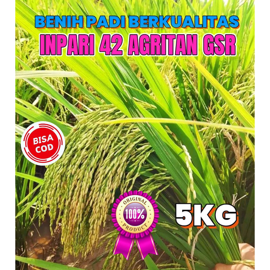 BENIH PADI BERKUALITAS INPARI 42 AGRITAN GSR KEMASAN 5KG