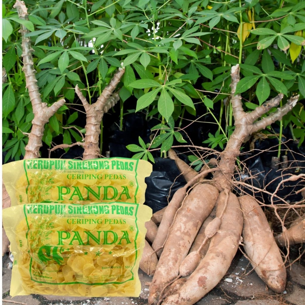 kripik singkong pedas 250gram krupuk mentah singkong panda renyah dan gurih