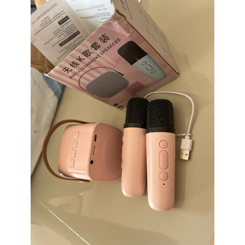 Wireless Karaoke Speakers