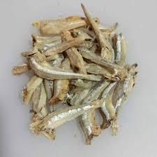 Ikan Asin Teri Jengki Fresh - Ikan Asin Teri Gundul Segar Super Premium Sayur Jogja