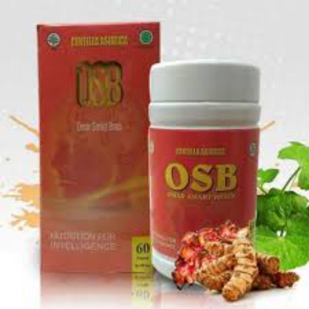 OSB - Omar Smart Brain Asli - Obat Herbal Penambah Daya Ingat Isi 60 Kapsul