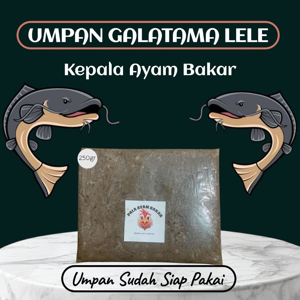 Umpan mancing Galatama lele kepala ayam bakar super premium siap pakai