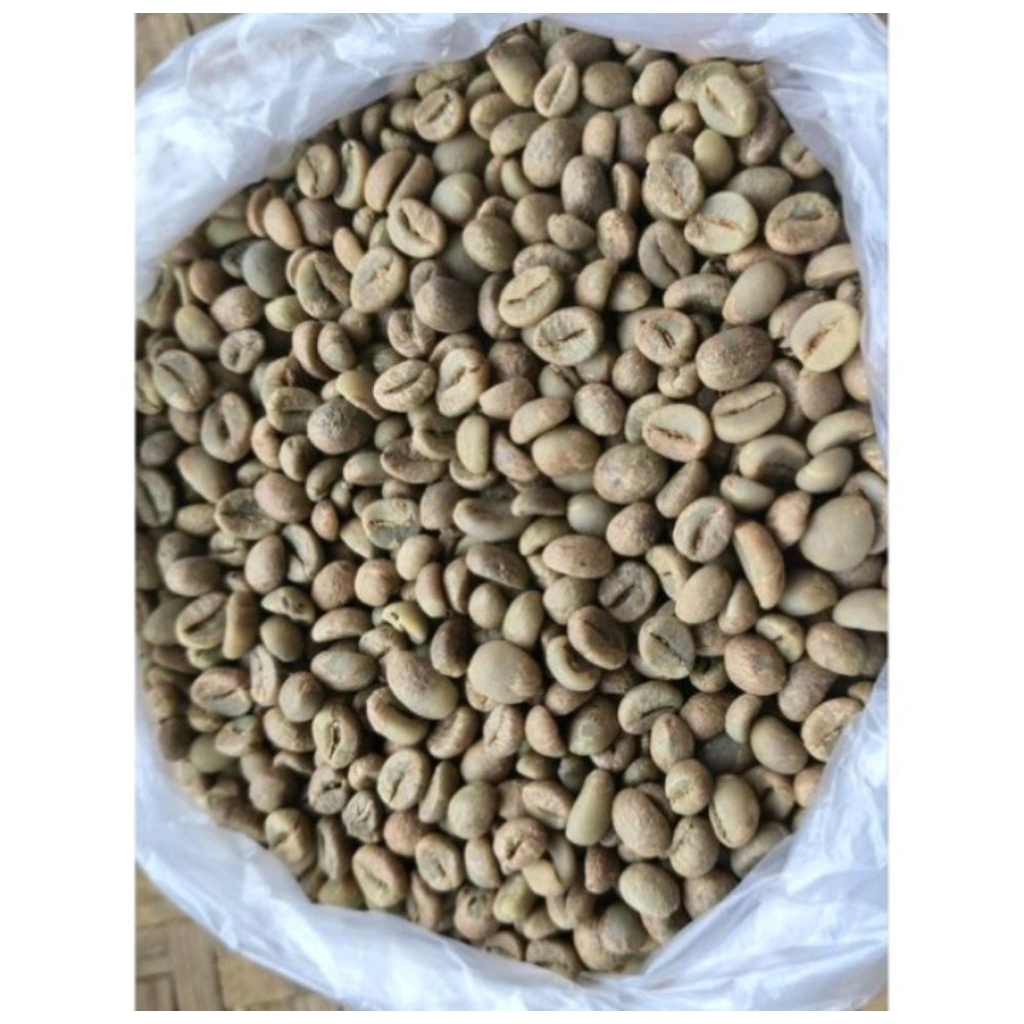 biji kopi Lampung barat