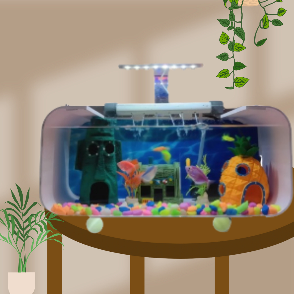 Aquarium Mini Minimalis Untuk Guppy / Aquascape Kecil SIAP PAKAI FULLSET