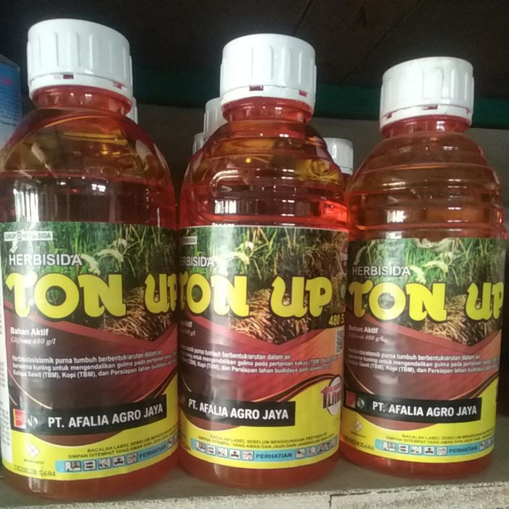 TON UP 1 Liter