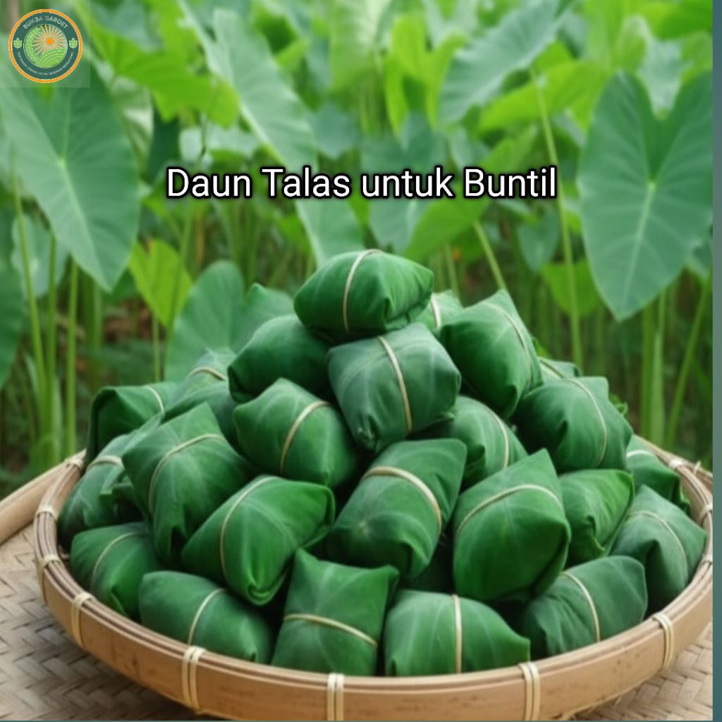 DAUN TALAS FRESH / Daun talas untuk buntil /10 Lembar