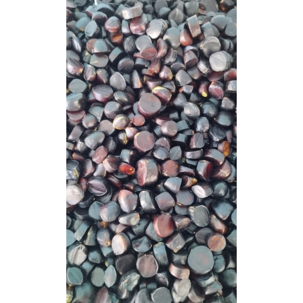 500Gram Kabau habo jolang jaling kuwaw lalapan sumatra