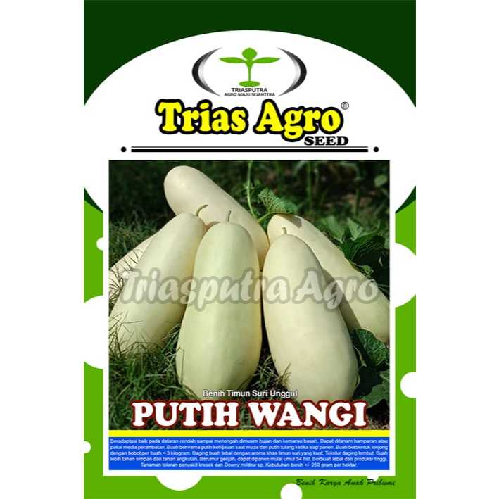 Benih Timun Suri Putih Wangi 10 Gr