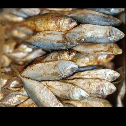 ikan asin peda / peda merah peda putih ikan asin kembung
