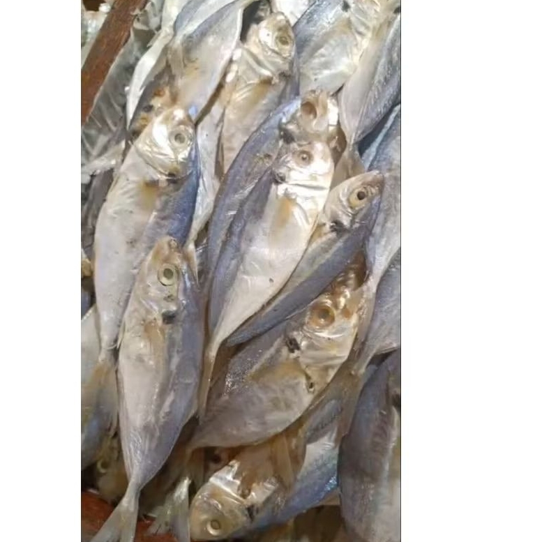 ikan asin selar /selar gontor