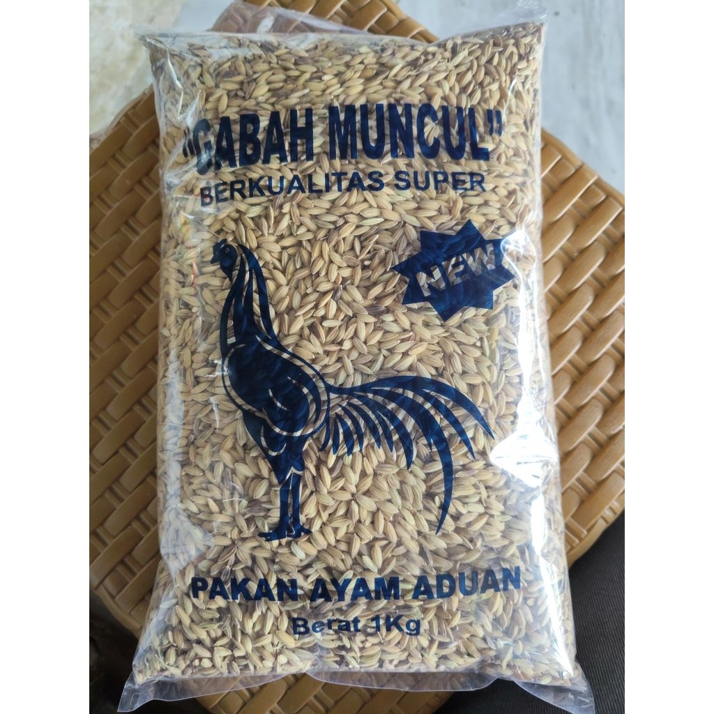 Gabah muncul berkualitas