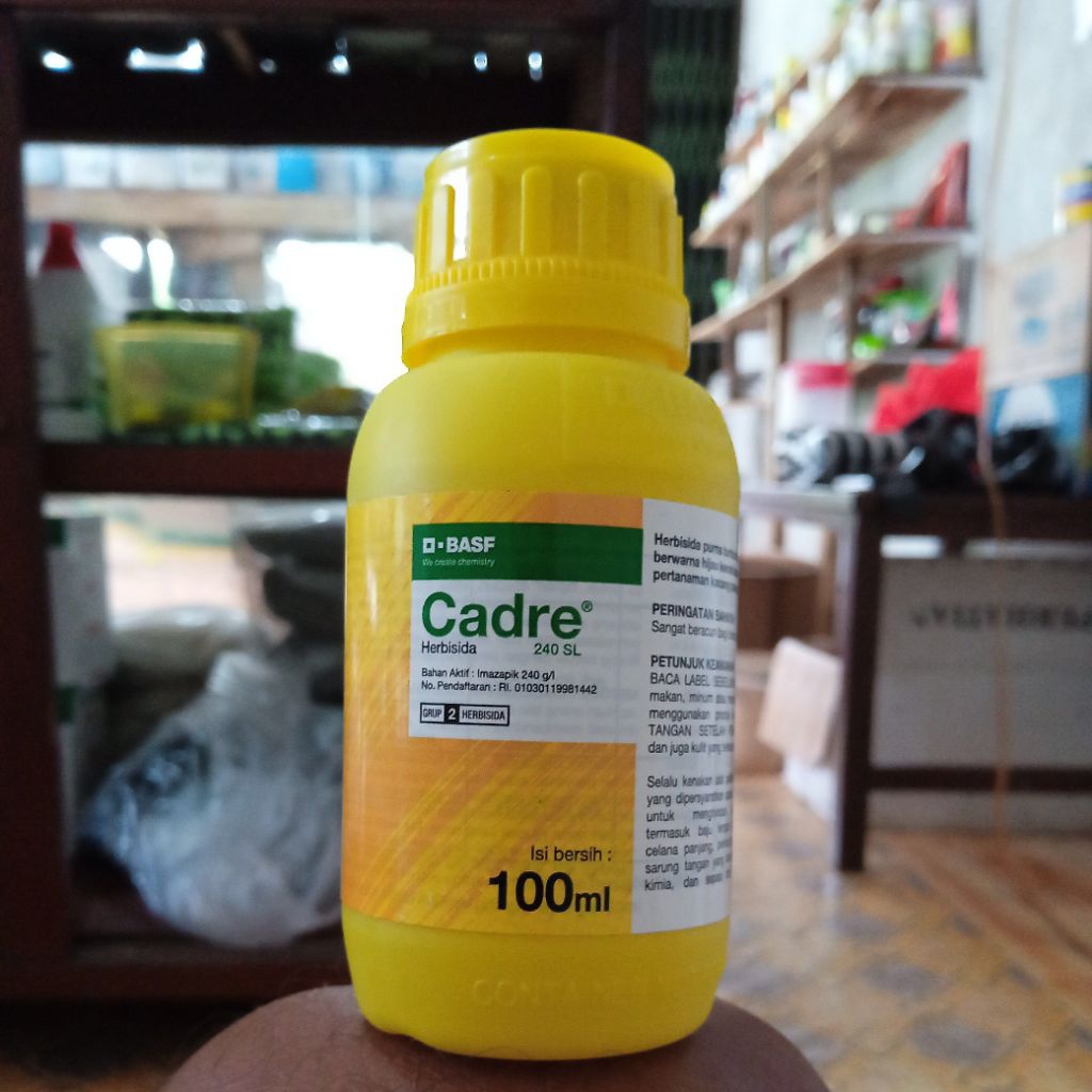 Cadre 240 SL Herbisida Selektif Untuk Kacang Tanah Dan Tebu