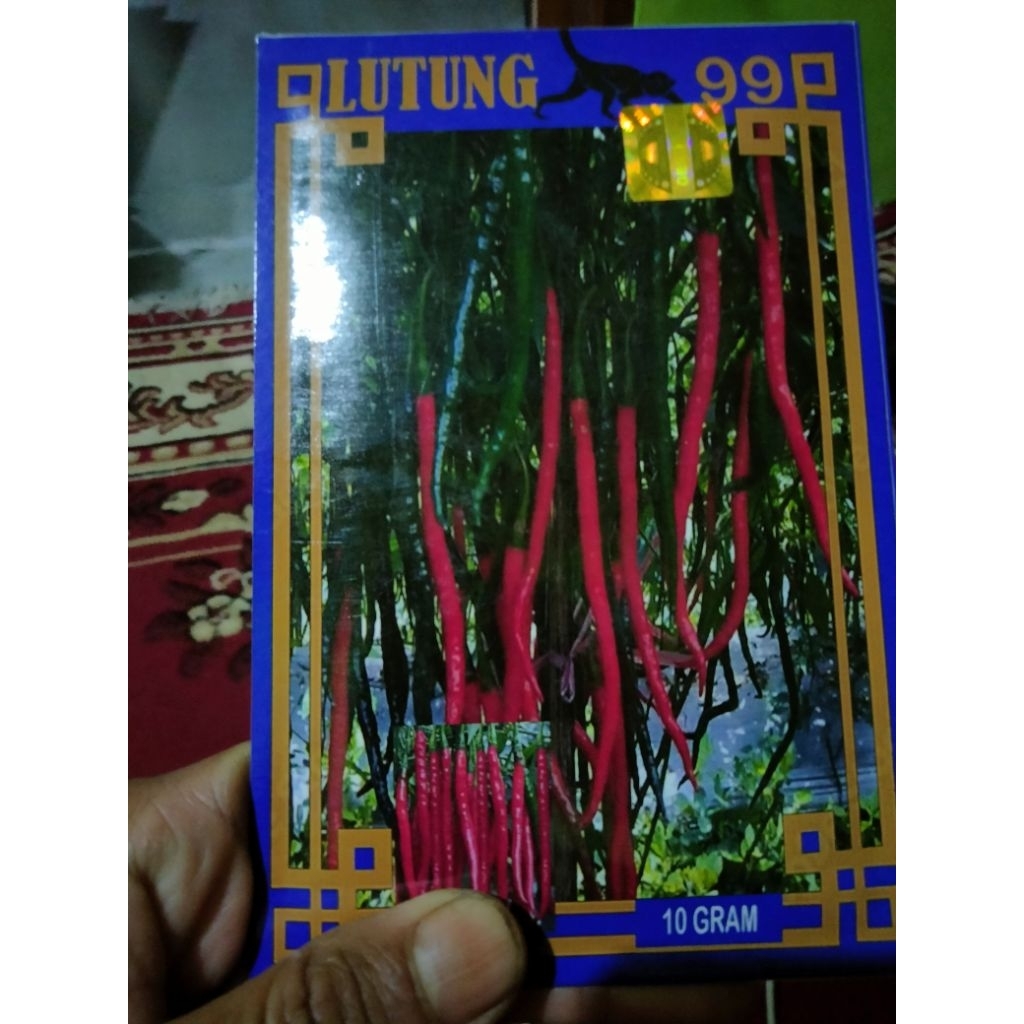 BIBIT CABAI MERAH KERITING LOKAL LUTUNG 99 BERKUALITAS ,DIJAMIN ORI