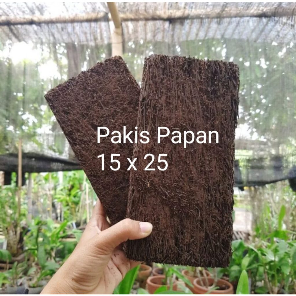 Media Akar Pakis Papan Lempeng 15 x 25 Anggrek Sedang Besar
