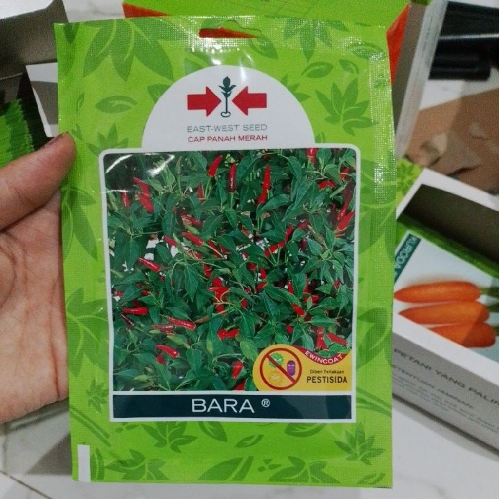 Benih Cabe Bara Isi 500Butir Kemasan Pabrik original Panah Merah
