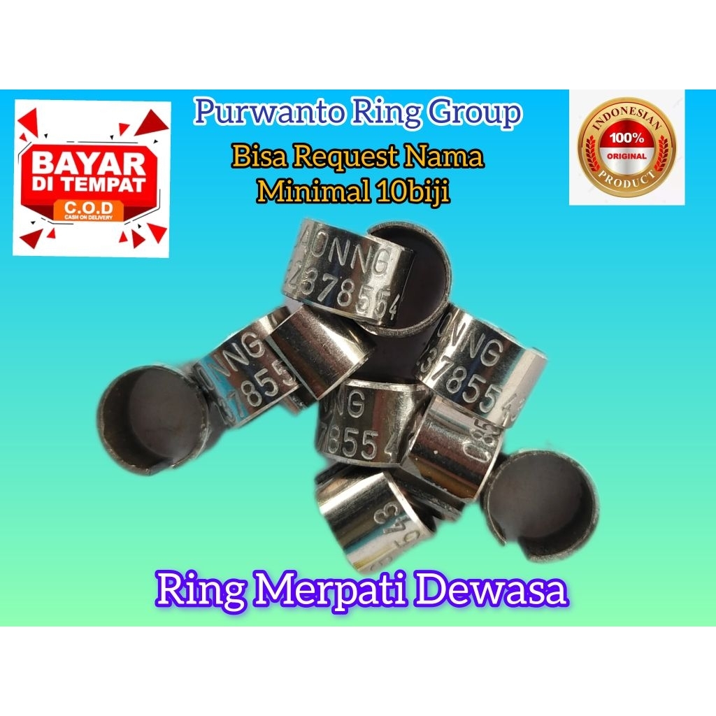RING MERPATI DEWASA MODEL BAJA KETROK BELAH RING DARA RING BAJA RING BURUNG MURAH RING NURI DEWASA R
