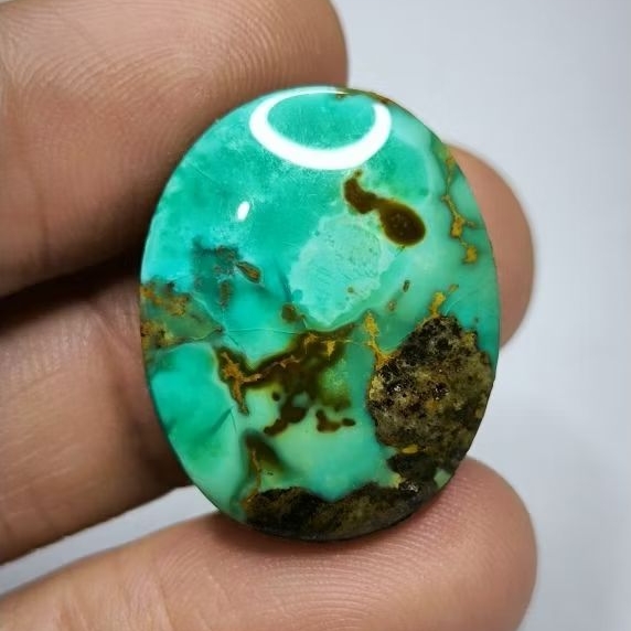 Pirus Persia Hijau Gradasi