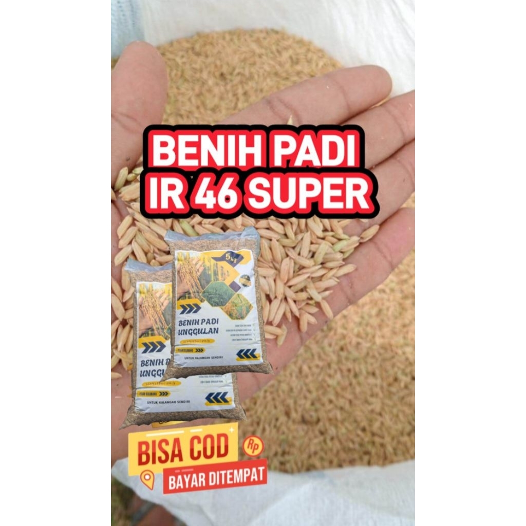 Benih Padi IR 46 Super Kemasan 5kg