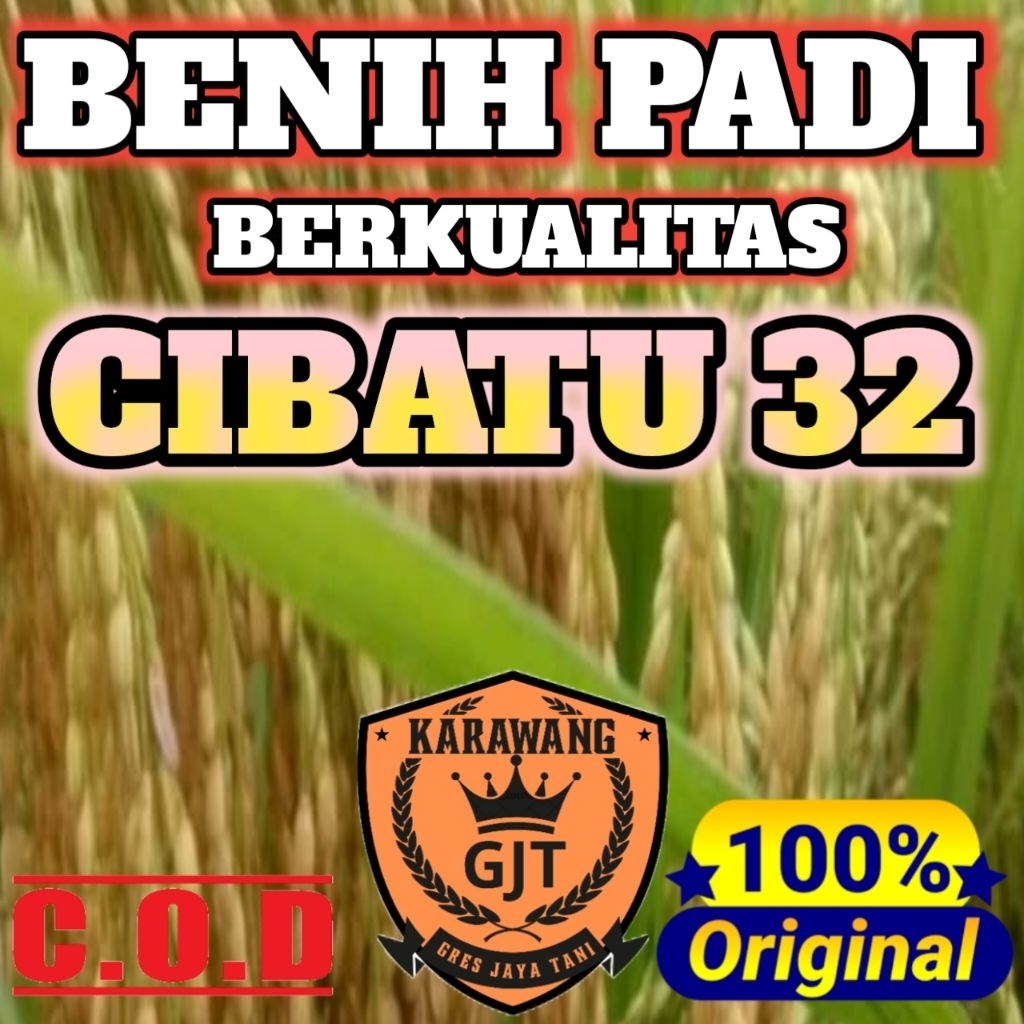 BENIH PADI CIBATU 32 BERKUALITAS ORIGINAL KEMASAN 5KG