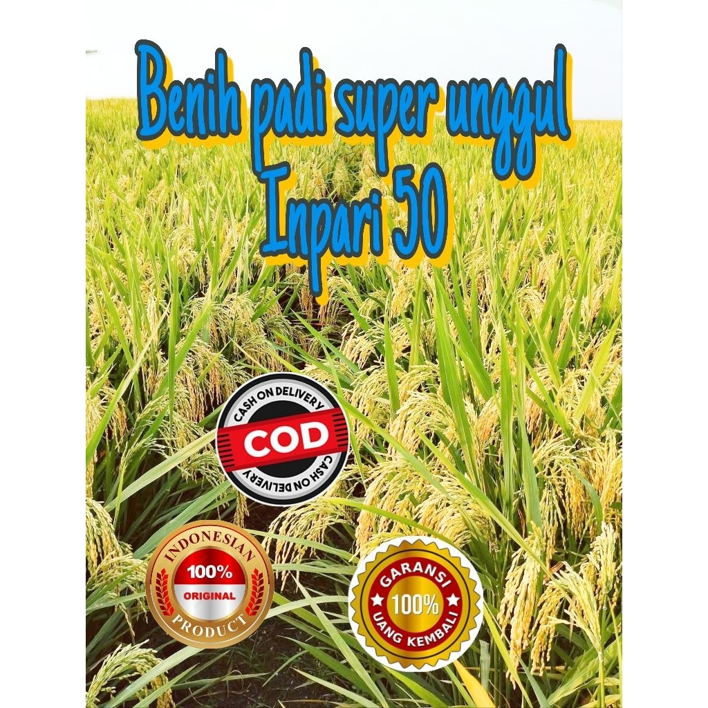 BENIH PADI SUPER UNGGUL INPARI 50 KMSN 5 KG