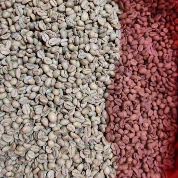 Green Bean Ekselsa Liberika Lawu (sortir) 500 GRAM