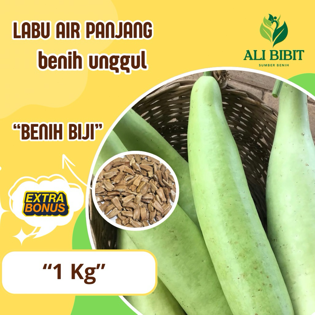 1 Kg > Biji Benih Labu Air Panjang /Labu Manisa > Bibit Labu Air> Bonus benih