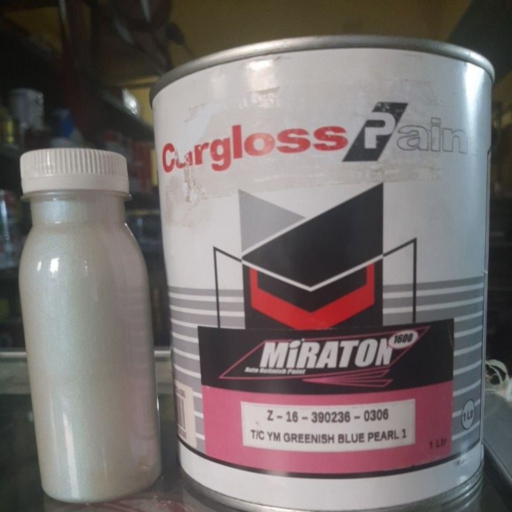 Cat Motor Aerox bunglon