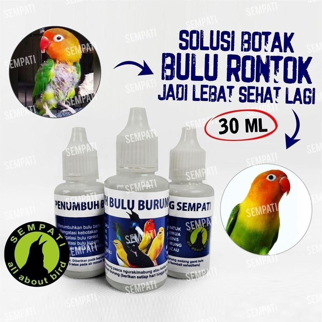 obat penumbuh bulu SEMPATI vitamin burung mabung ngurak cabul pro zenka moulting super moulting