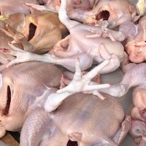 Ayam Potong Bersih dan Segar berat -+ 1,2 Kg - Pasar Makassar
