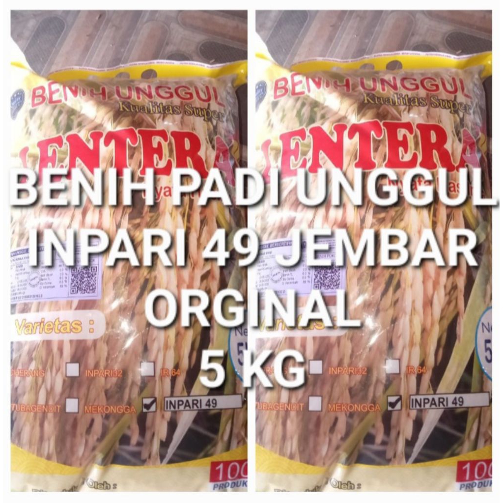 Benih Padi Inpari 49 Jembar Orginal