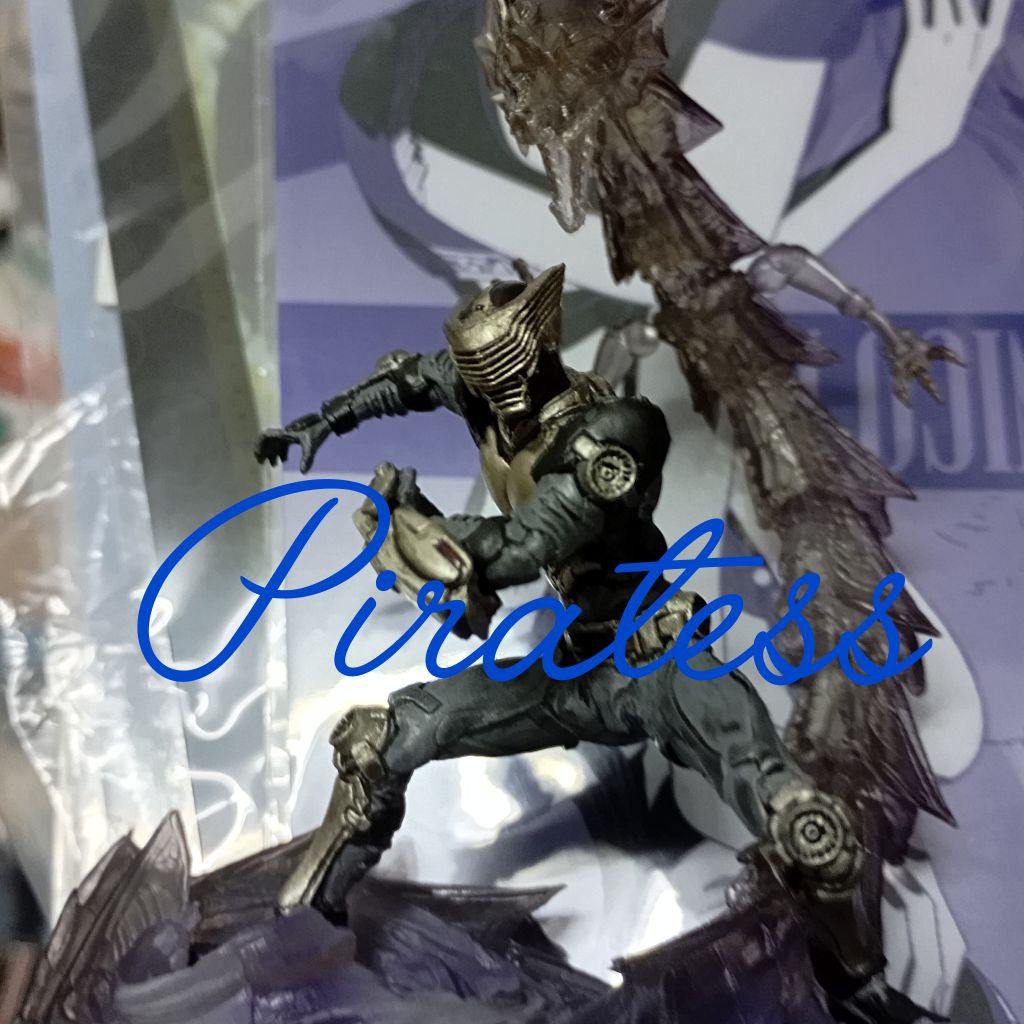 sic Kamen rider ryuki ryuga loose