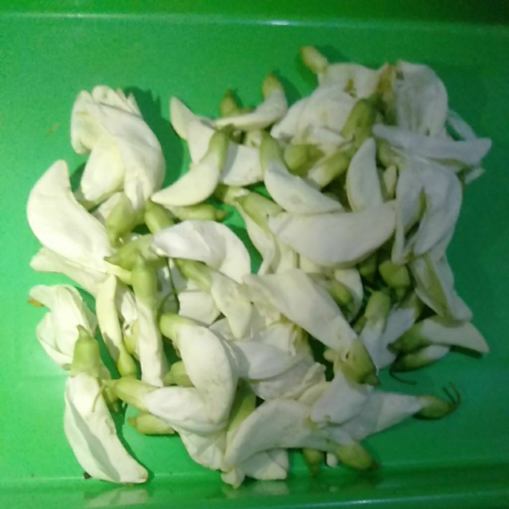 Sayur Kembang Bunga Turi petik segar