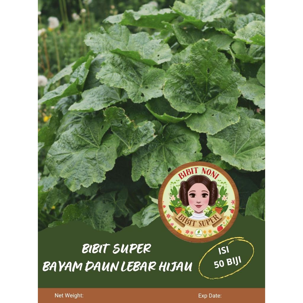 Bibit Super Bayam Daun Lebar Hijau | Biji Benih Bayam Daun Lebar