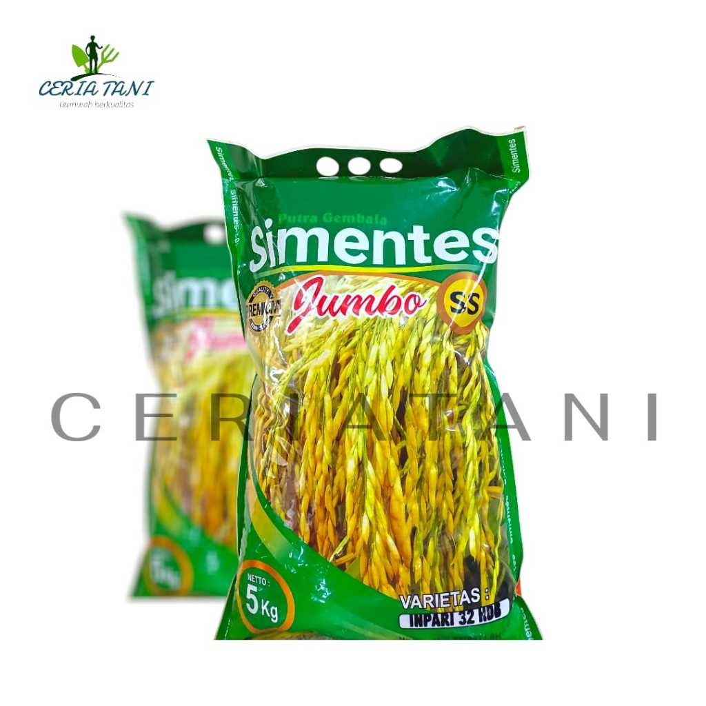BENIH PADI BIBIT PADI INPARI 32 SIMENTES JUMBO SS(potensi hasil tinggi ) KEMASAN 5 KG