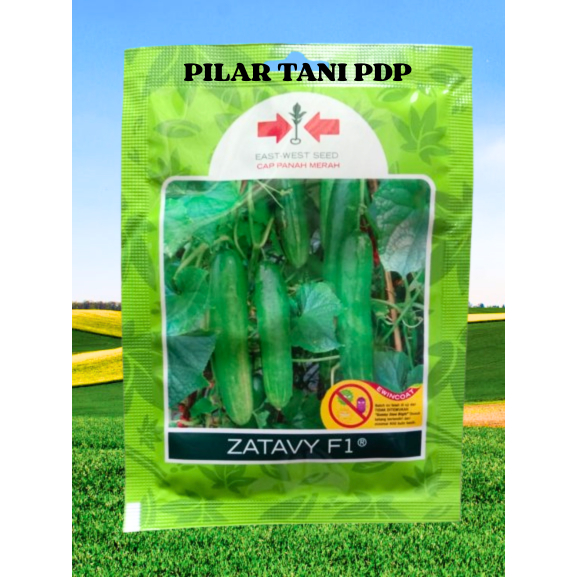 Benih Timun ZATAVY 150 btr