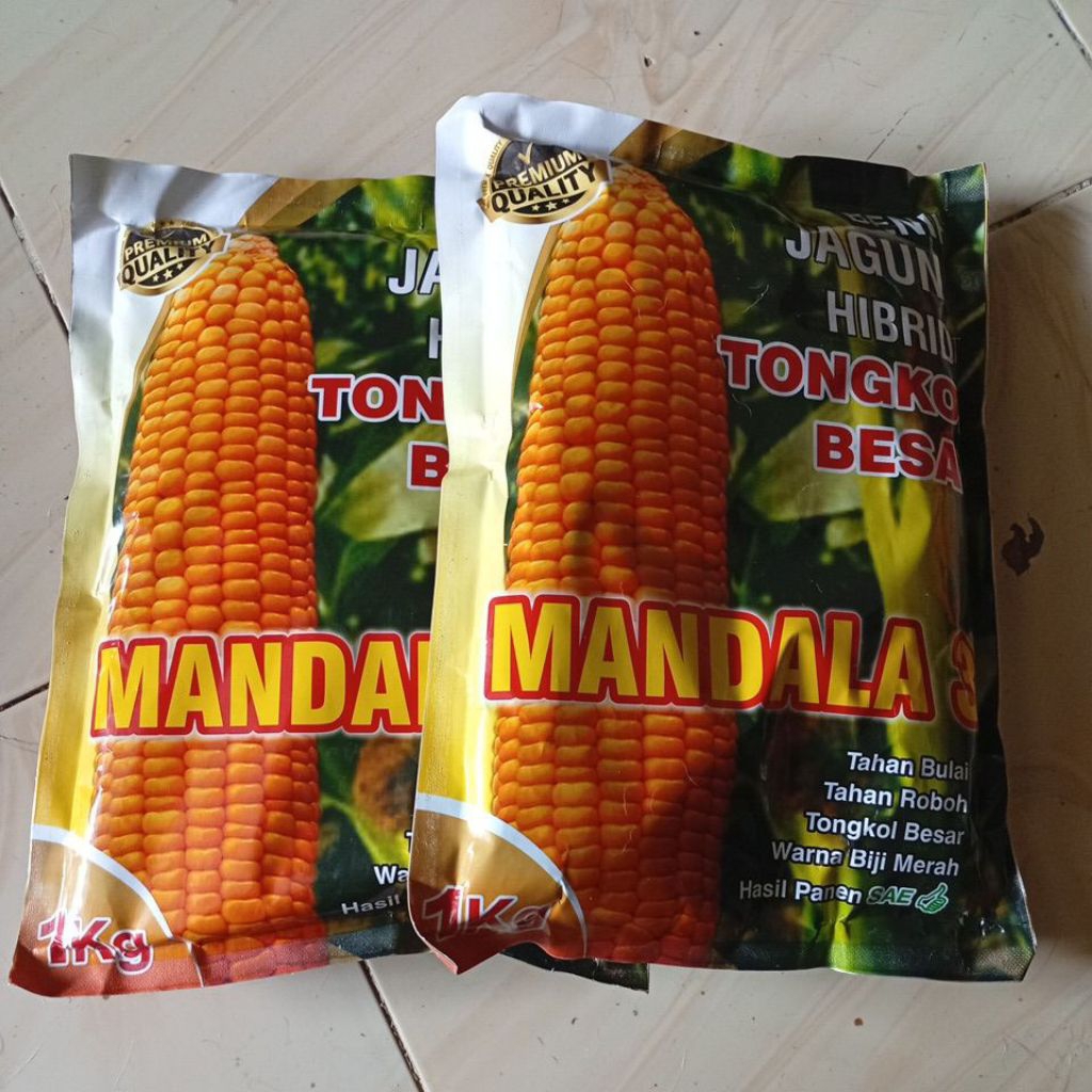 Benih Jagung Hibrida