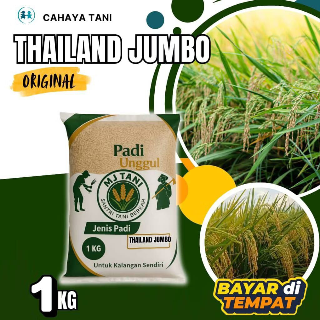 BIBIT PADI UNGGUL THAILAND JUMBO kemasan 1kg