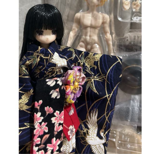 Custom Azone Doll Include Dress READY