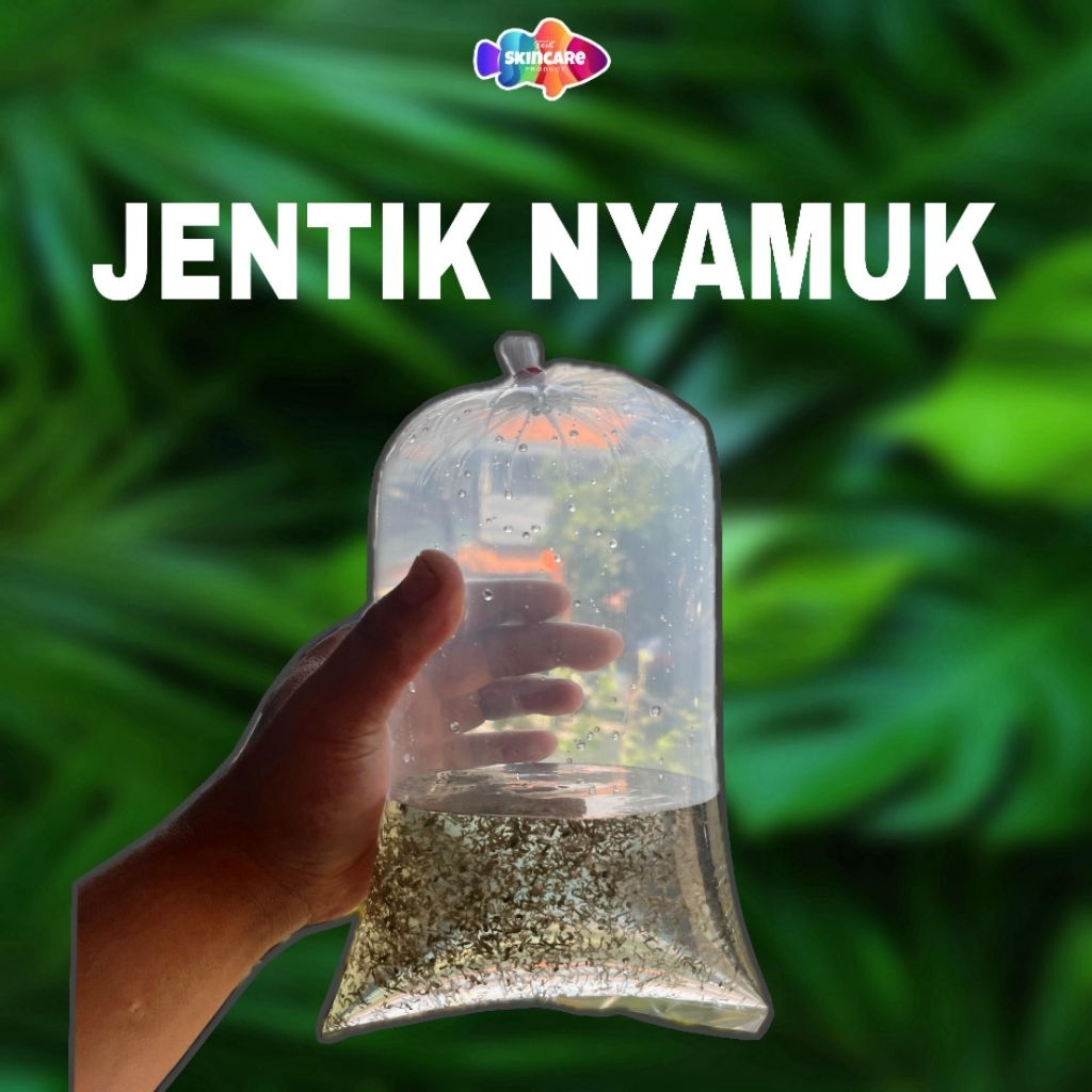 PAKAN HIDUP JENTIK NYAMUK (ENCU)