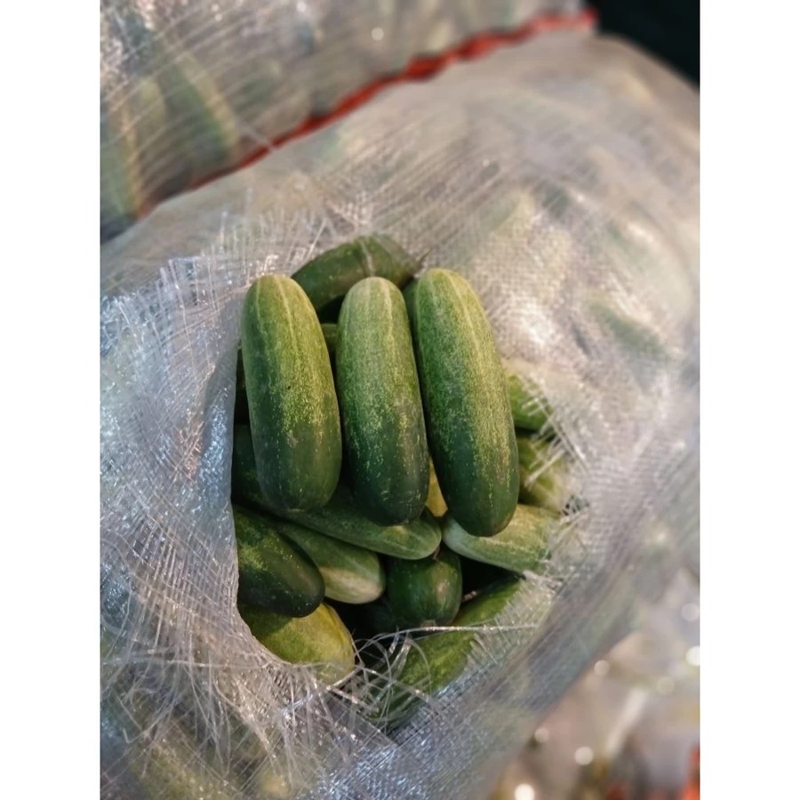 INSTAN Timun Lalap Timun Acar 1 kg