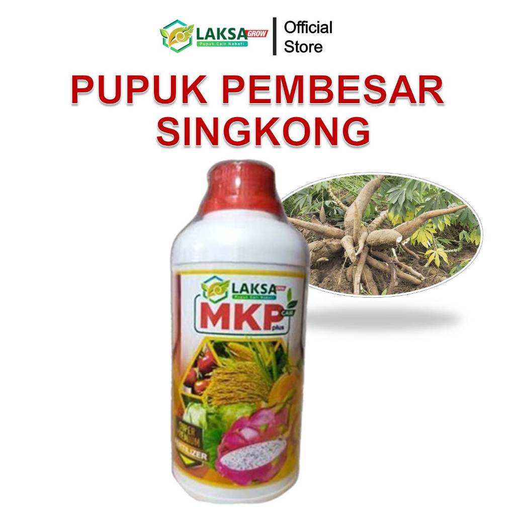 Laksa Grow - 500ml MKP Cair Plus Pupuk Pembesar Umbi Singkong - Pupuk Pelebat Buah Singkong - Pupuk 
