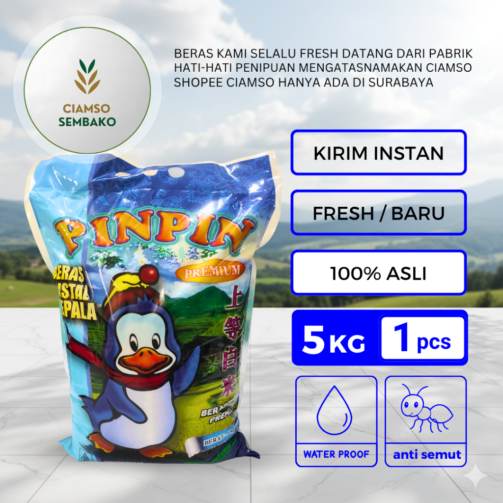 Beras Pinpin 5kg Murah dan Baru