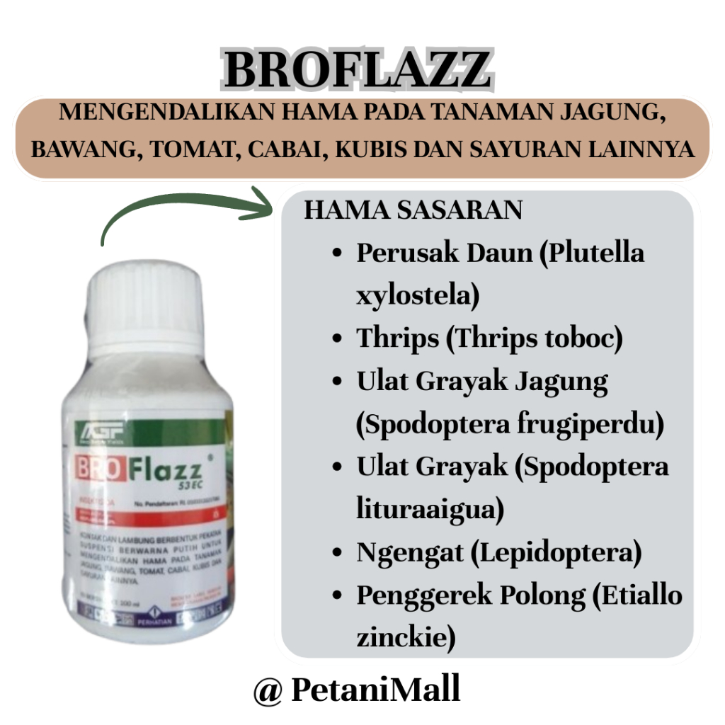 Broflazz Insektisida Ampuh Mengatasi Membasmi Serangan Ulat Grayak