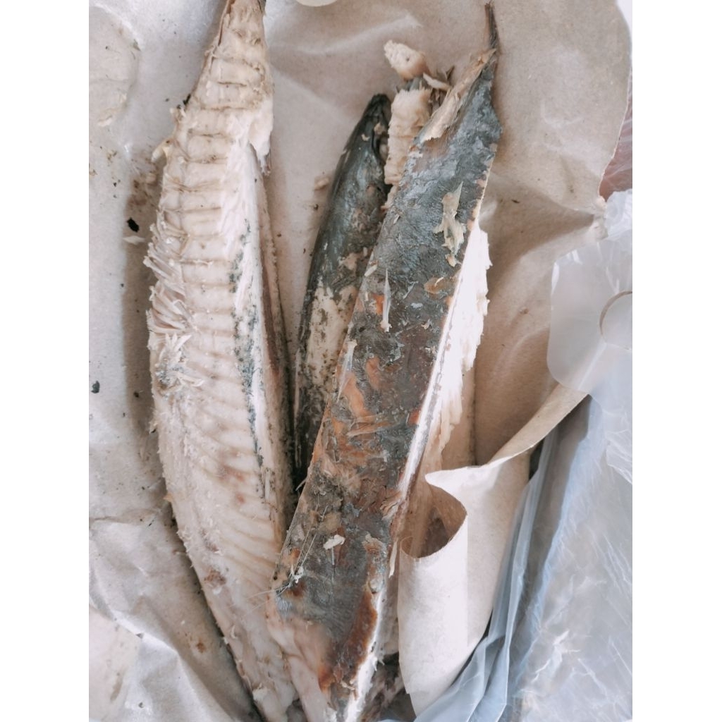 ikan Tongkol potong