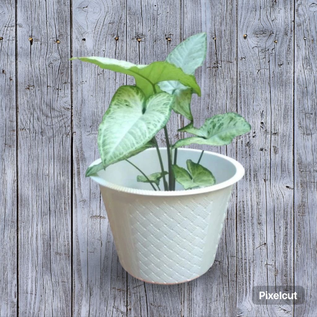 Pot Bunga Plastik Motif Anyam 25 Cm, Pot Tanaman, Pot 25 Putih