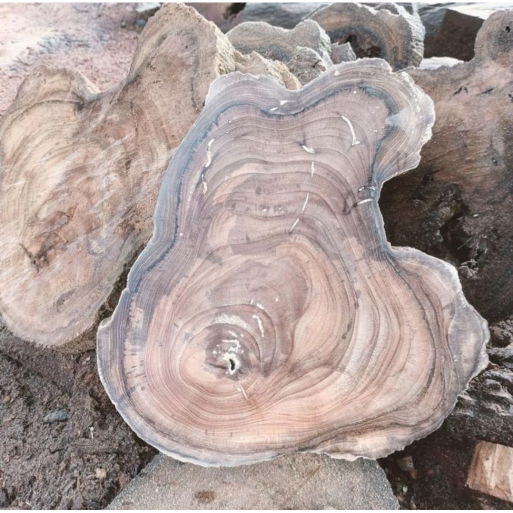 Potongan kayu jati ukuran 35x25x3cm