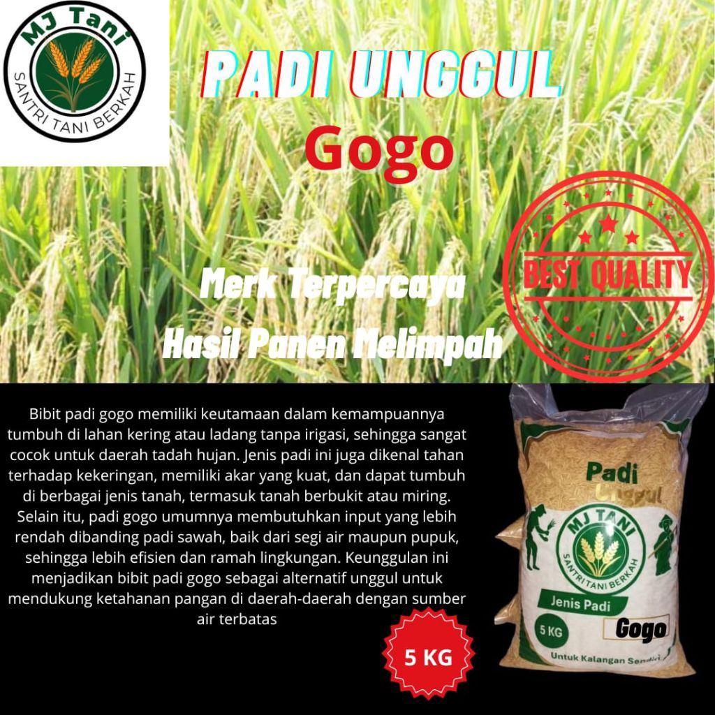 BENIH PADI BIBIT PADI GOGO ORIGINAL KEMASAN 5 KG
