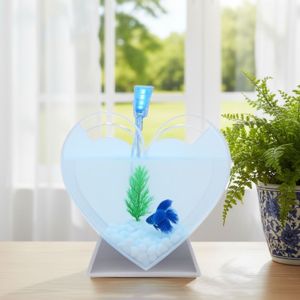 Aquarium Akrilik Love Minimalis Fullset Siap Pakai | Aquarium Estetik