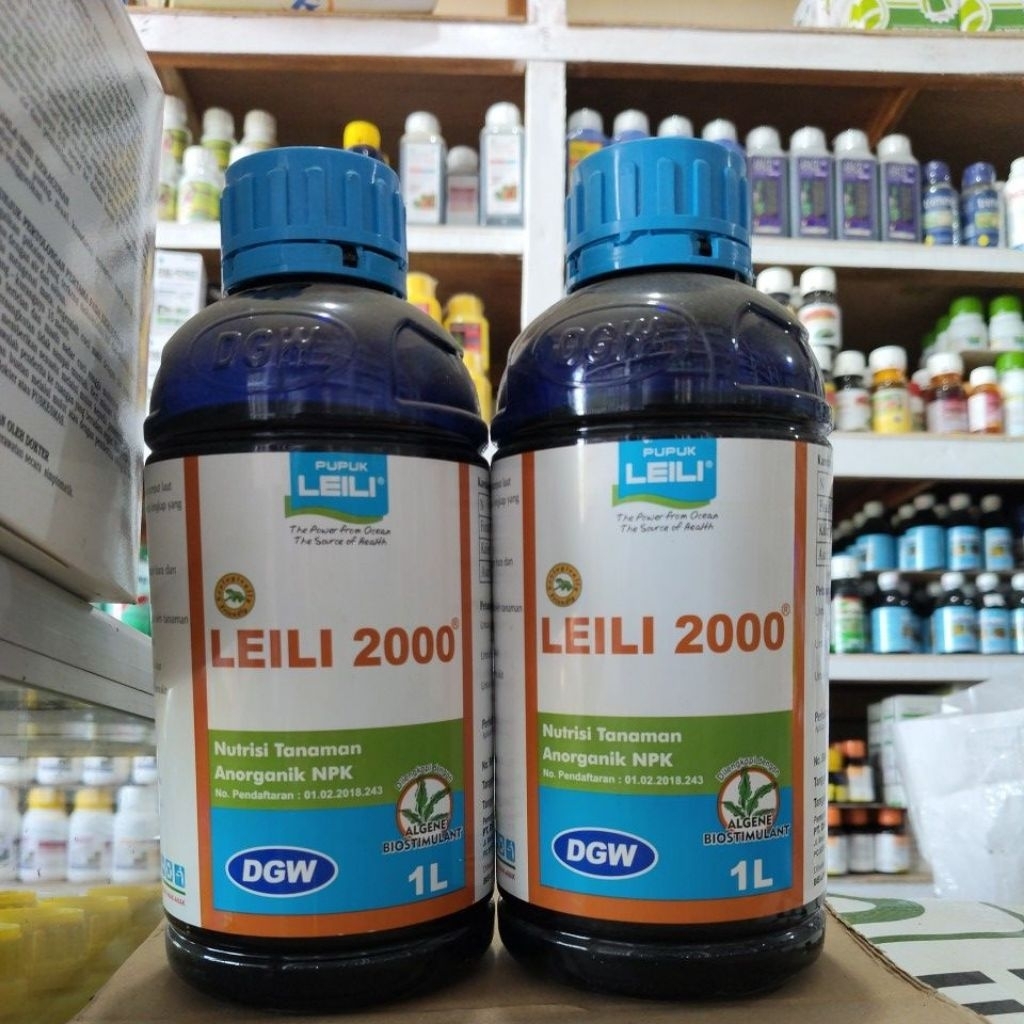 LEILI 2000